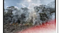 membuka lahan pertanian dengan cara membakar hutan dapat menyebabkan image